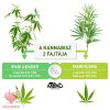 CBD-Kannabisz-Krem-15-ml 