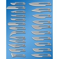 Braun szikepengék, szikenyelek